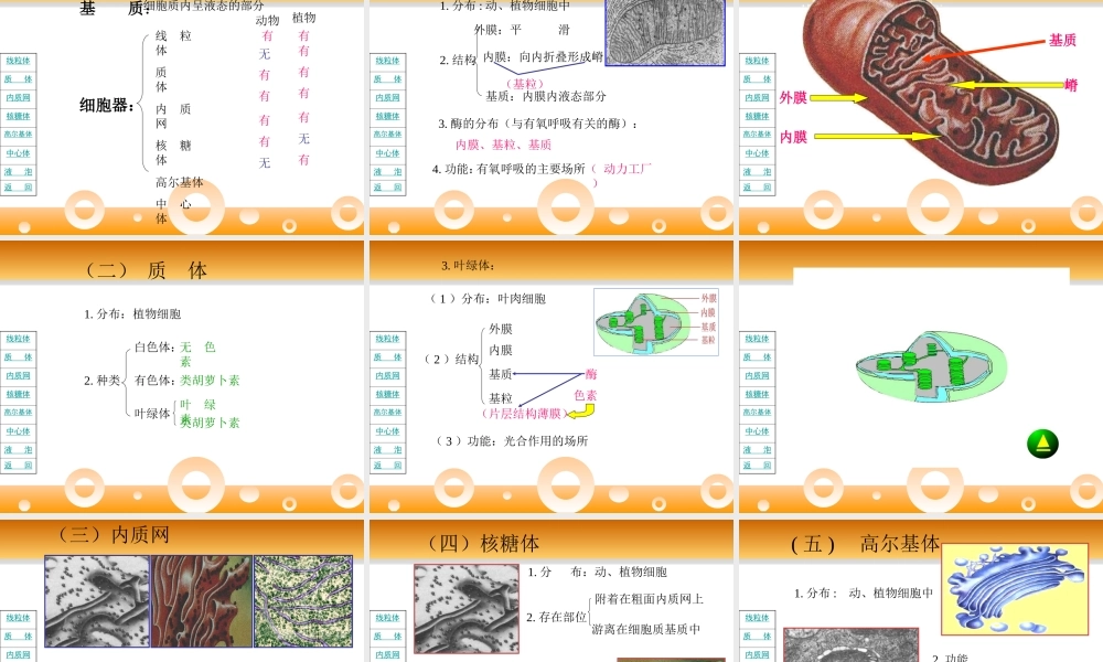 01.细胞的结构和功能