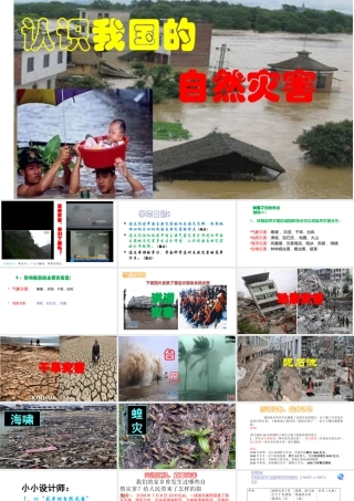 -八年级地理上册 第2章 活动课 认识我国的自然灾害（3）课件 （新版）商务星球版-人教版初中八年级全册地理课件