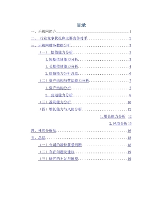 乐视网财务报表分析