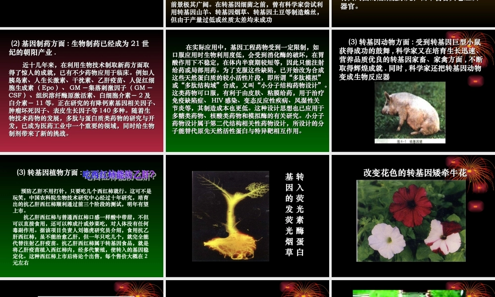 08年江苏生物4.1转基因生物的安全性 PPT 人教版选修3