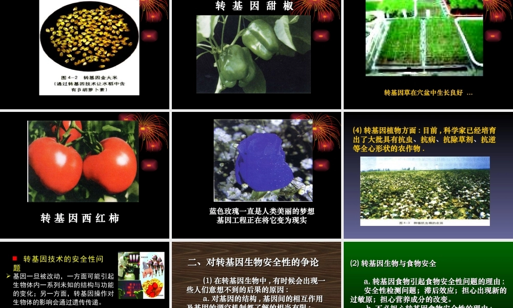 08年江苏生物4.1转基因生物的安全性 PPT 人教版选修3