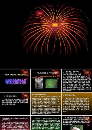 08年江苏生物4.1转基因生物的安全性 PPT 人教版选修3