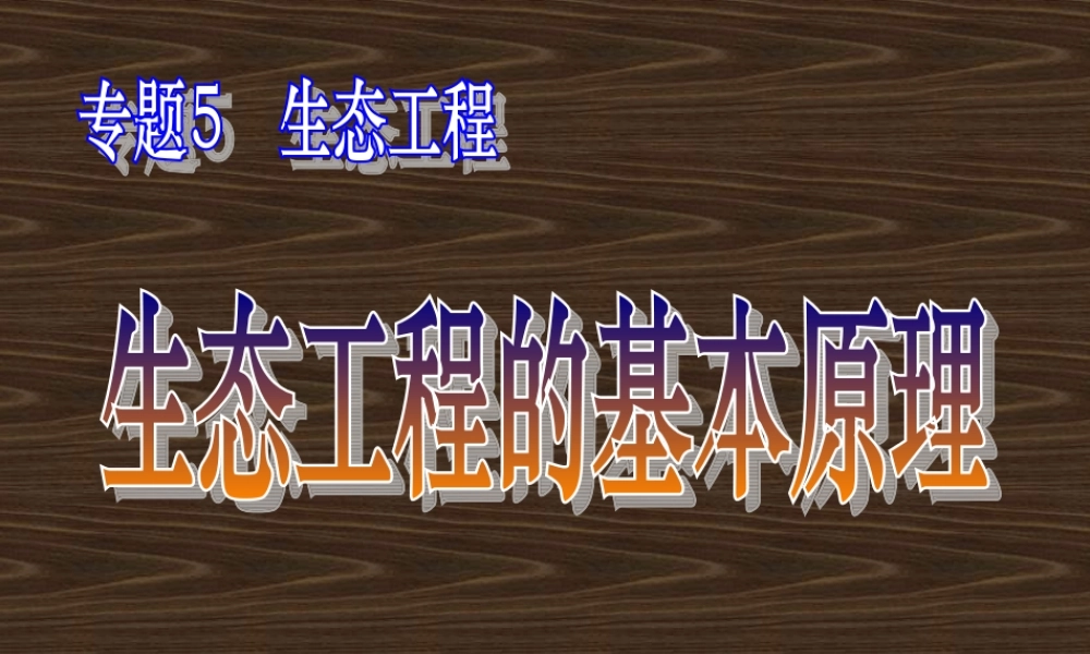 08年江苏生物生态工程的基本原理PPT 人教版选修3