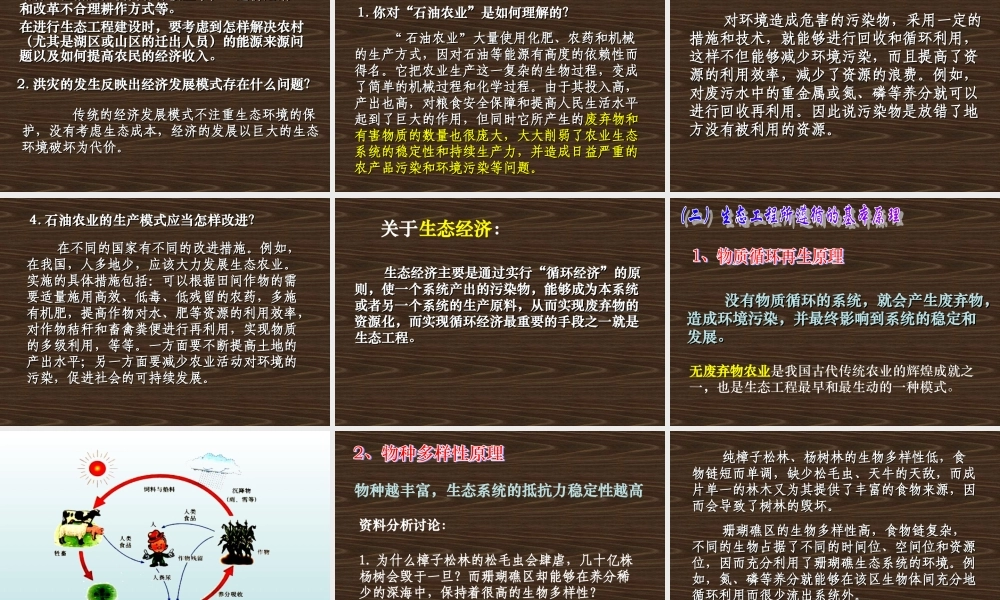 08年江苏生物生态工程的基本原理PPT 人教版选修3