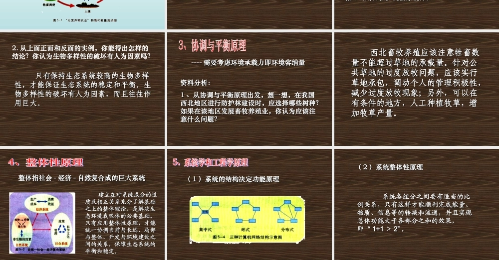 08年江苏生物生态工程的基本原理PPT 人教版选修3
