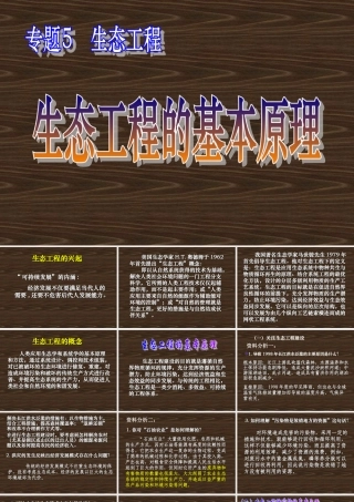 08年江苏生物生态工程的基本原理PPT 人教版选修3