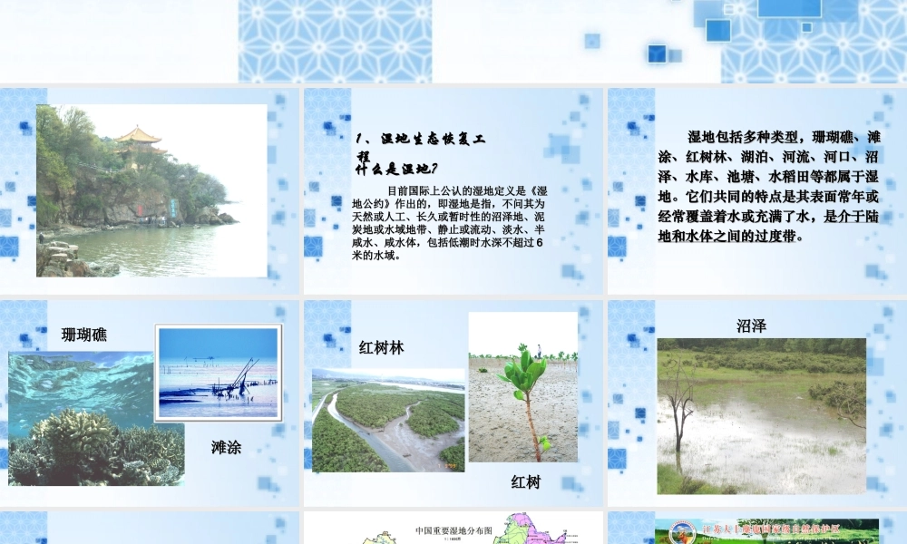 08年江苏生物生态工程的实例和发展前景PPT 人教版选修3