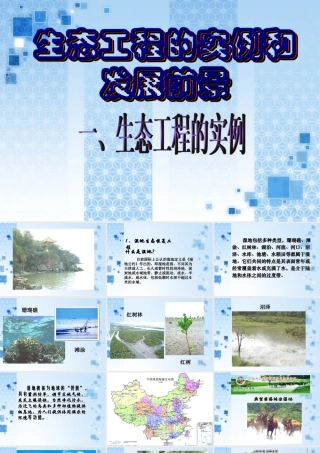 08年江苏生物生态工程的实例和发展前景PPT 人教版选修3