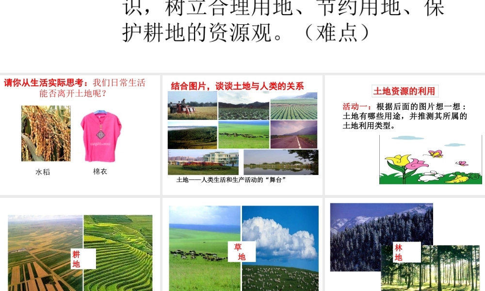 -八年级地理上册 第3章 第1节 合理利用土地资源课件 （新版）商务星球版-（新版）商务星球版初中八年级上册地理课件