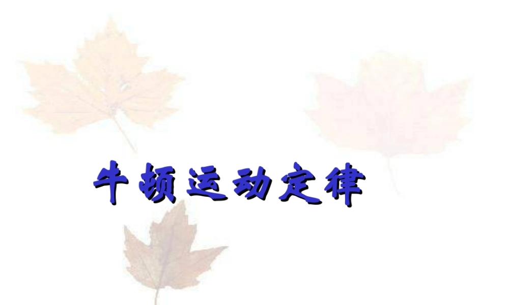 09届复习课件-牛顿运动定律