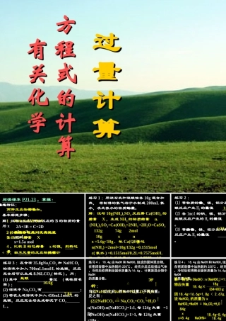 1-5-1（过量计算）