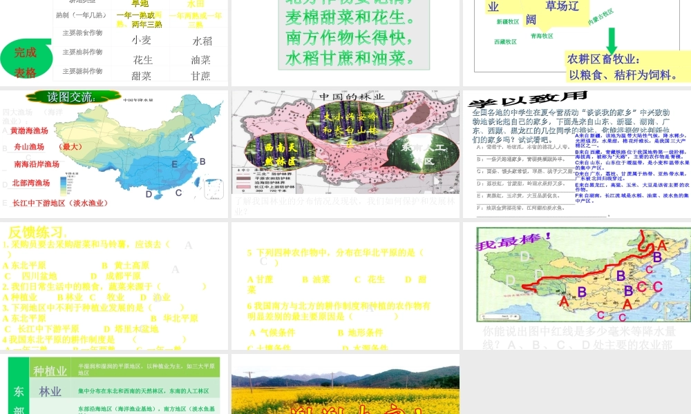 -八年级地理上册 第4章 第1节 因地制宜发展农业（第1课时）课件 （新版）商务星球版-（新版）商务星球版初中八年级上册地理课件