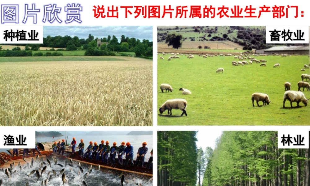 -八年级地理上册 第4章 第1节 因地制宜发展农业（第2时）课件 （新版）商务星球版-（新版）商务星球版初中八年级上册地理课件