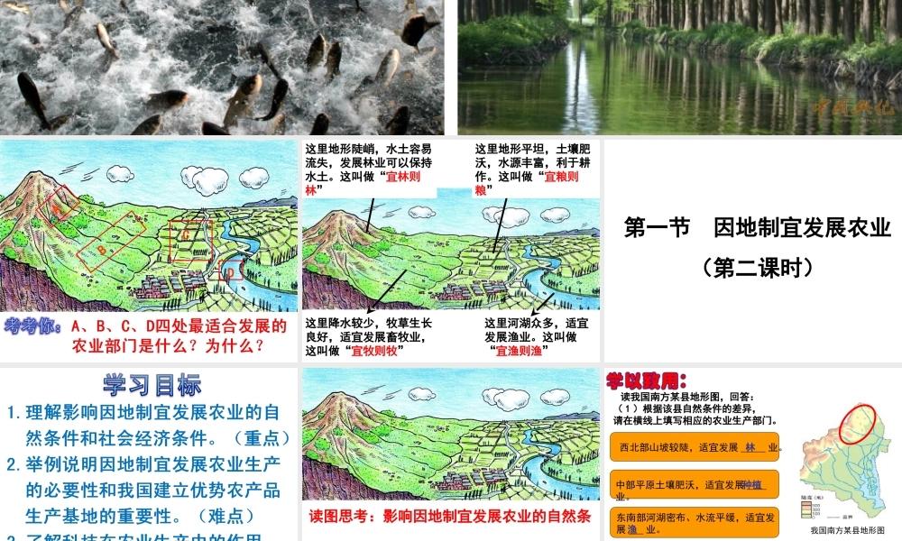 -八年级地理上册 第4章 第1节 因地制宜发展农业（第2时）课件 （新版）商务星球版-（新版）商务星球版初中八年级上册地理课件