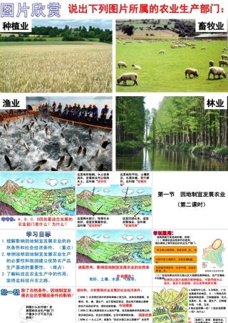 -八年级地理上册 第4章 第1节 因地制宜发展农业（第2时）课件 （新版）商务星球版-（新版）商务星球版初中八年级上册地理课件