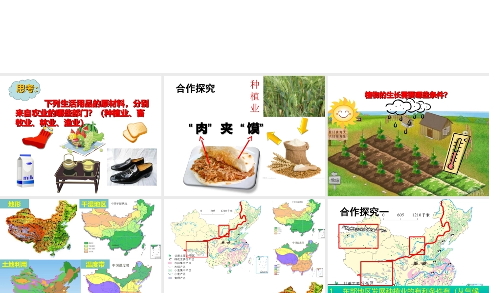 -八年级地理上册 第4章 第1节因地制宜发展农业（第1课时）课件 （新版）商务星球版-（新版）商务星球版初中八年级上册地理课件