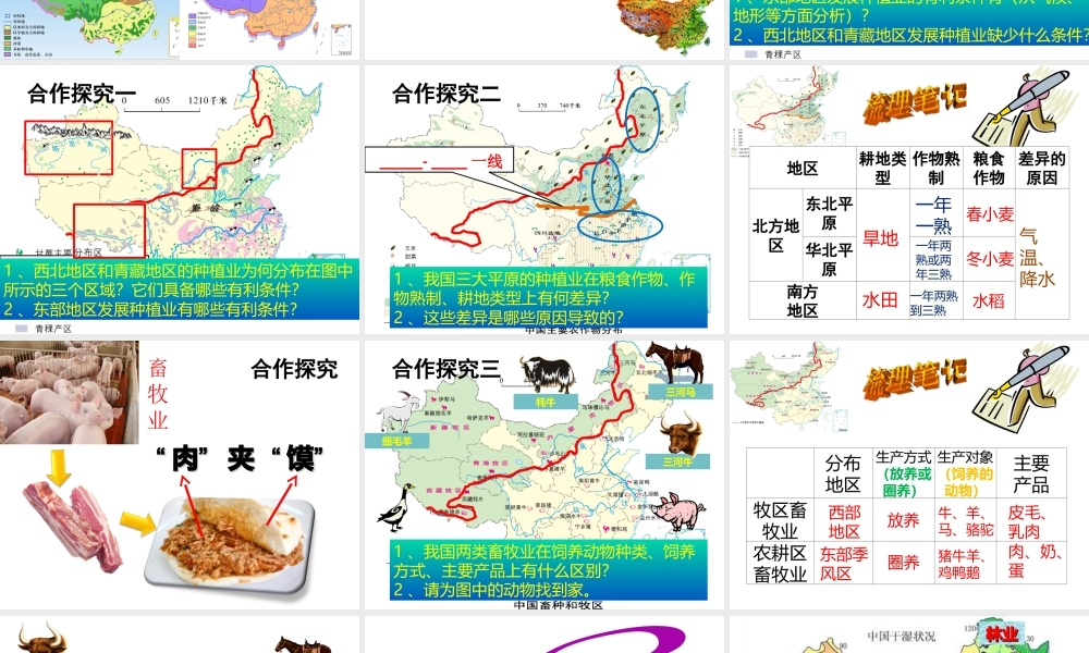 -八年级地理上册 第4章 第1节因地制宜发展农业（第1课时）课件 （新版）商务星球版-（新版）商务星球版初中八年级上册地理课件