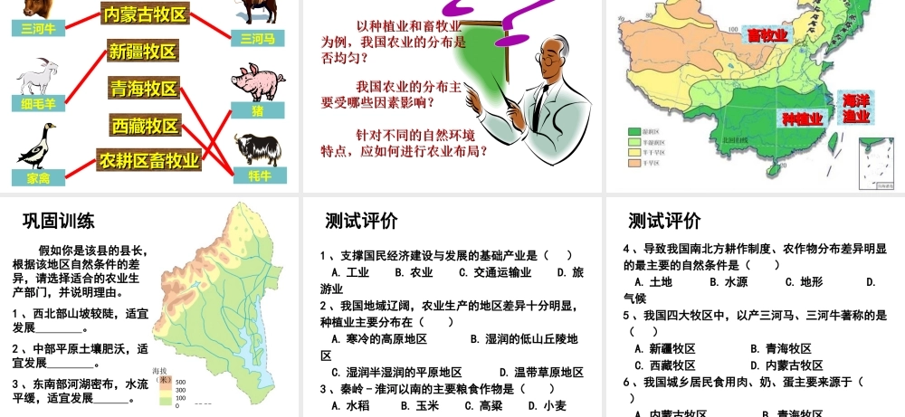 -八年级地理上册 第4章 第1节因地制宜发展农业（第1课时）课件 （新版）商务星球版-（新版）商务星球版初中八年级上册地理课件