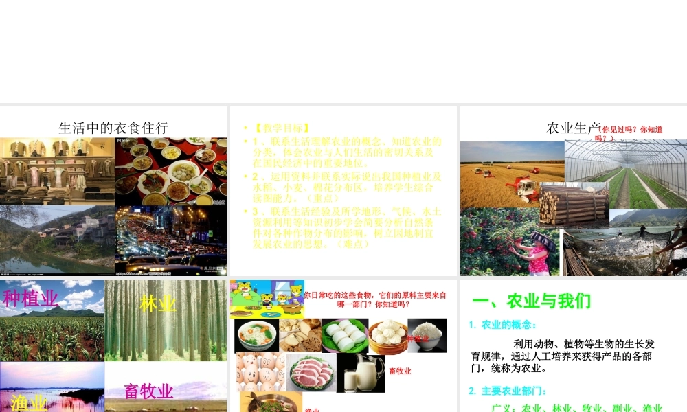 -八年级地理上册 第4章第1节 因地制宜发展农业（第1课时）课件 （新版）商务星球版-（新版）商务星球版初中八年级上册地理课件