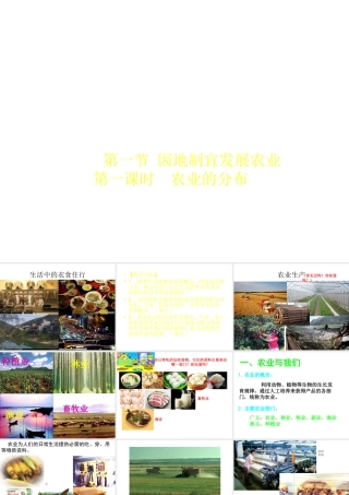 -八年级地理上册 第4章第1节 因地制宜发展农业（第1课时）课件 （新版）商务星球版-（新版）商务星球版初中八年级上册地理课件