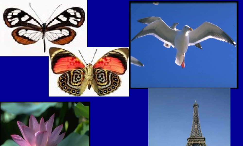 1.3.4 函数的奇偶性