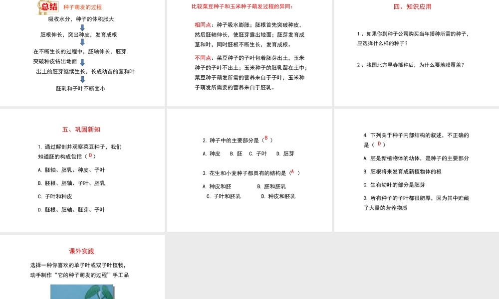 -八年级生物上册 3.1.1 种子萌发的过程课件（1）（新版）冀教版-（新版）冀教版初中八年级上册生物课件