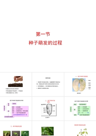 -八年级生物上册 3.1.1 种子萌发的过程课件（1）（新版）冀教版-（新版）冀教级上册生物课件