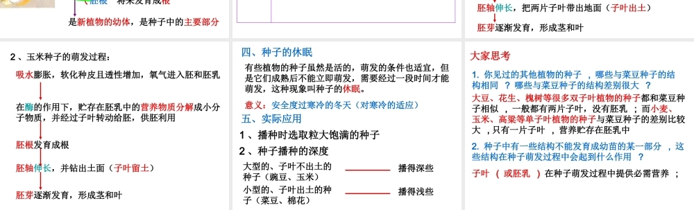 -八年级生物上册 3.1.1 种子萌发的过程课件（2）（新版）冀教版-（新版）冀教级上册生物课件