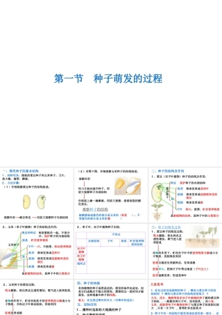 -八年级生物上册 3.1.1 种子萌发的过程课件（2）（新版）冀教版-（新版）冀教级上册生物课件