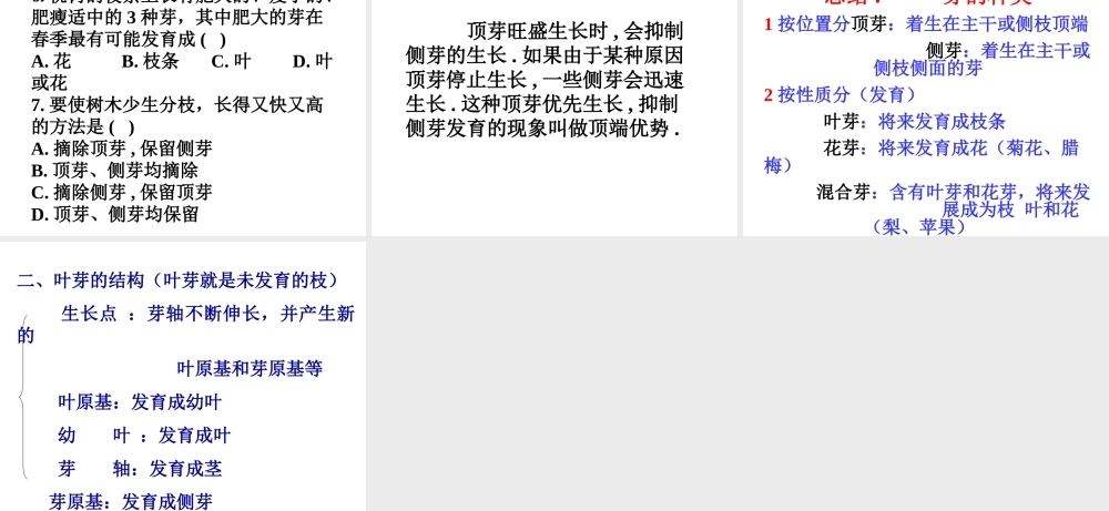 -八年级生物上册 3.1.3 芽的发育课件 （新版）冀教版-（新版）冀教版初中八年级上册生物课件