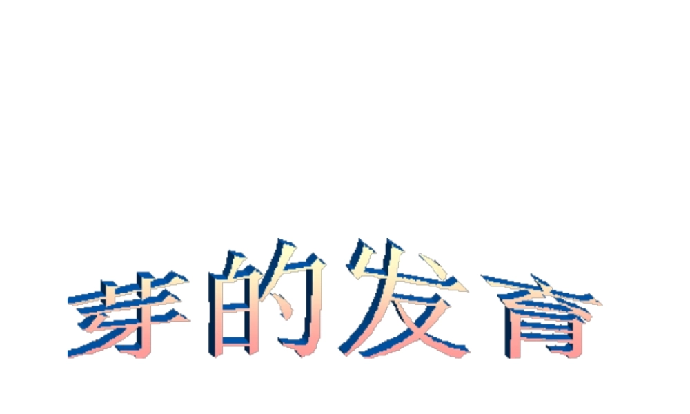 -八年级生物上册 3.1.3 芽的发育课件 （新版）冀教版-（新版）冀教级上册生物课件
