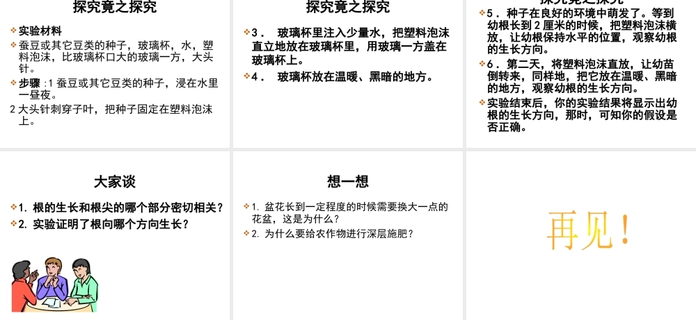 -八年级生物上册 3.2.1 根的生长课件（2）（新版）冀教版-（新版）冀教版初中八年级上册生物课件
