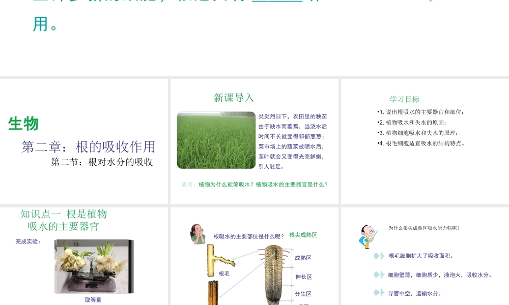 -八年级生物上册 3.2.2 根对水分的吸收课件 （新版）冀教版-（新版）冀教版初中八年级上册生物课件