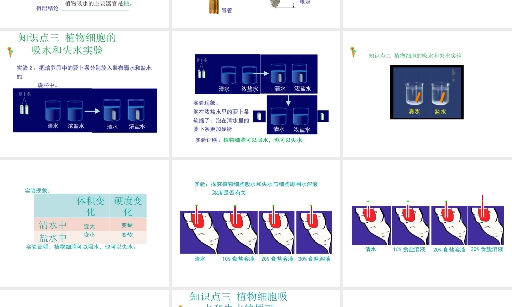 -八年级生物上册 3.2.2 根对水分的吸收课件 （新版）冀教版-（新版）冀教版初中八年级上册生物课件