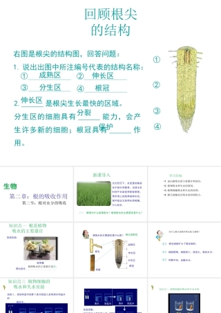 -八年级生物上册 3.2.2 根对水分的吸收课件 （新版）冀教版-（新版）冀教级上册生物课件