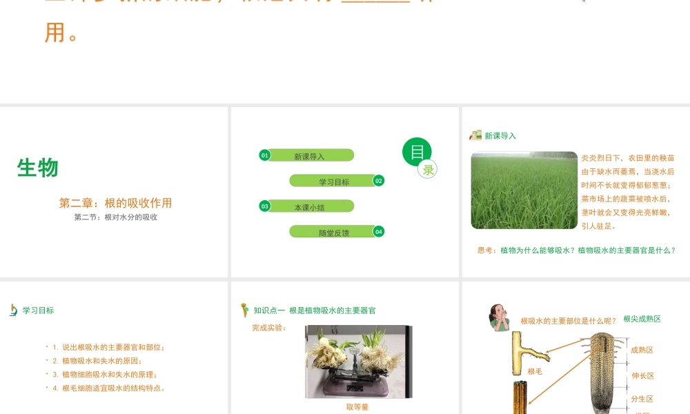 -八年级生物上册 3.2.2 根对水分的吸收课件（1）（新版）冀教版-（新版）冀教级上册生物课件