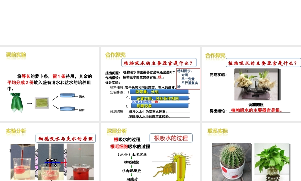 -八年级生物上册 3.2.2 根对水分的吸收课件（2）（新版）冀教版-（新版）冀教版初中八年级上册生物课件