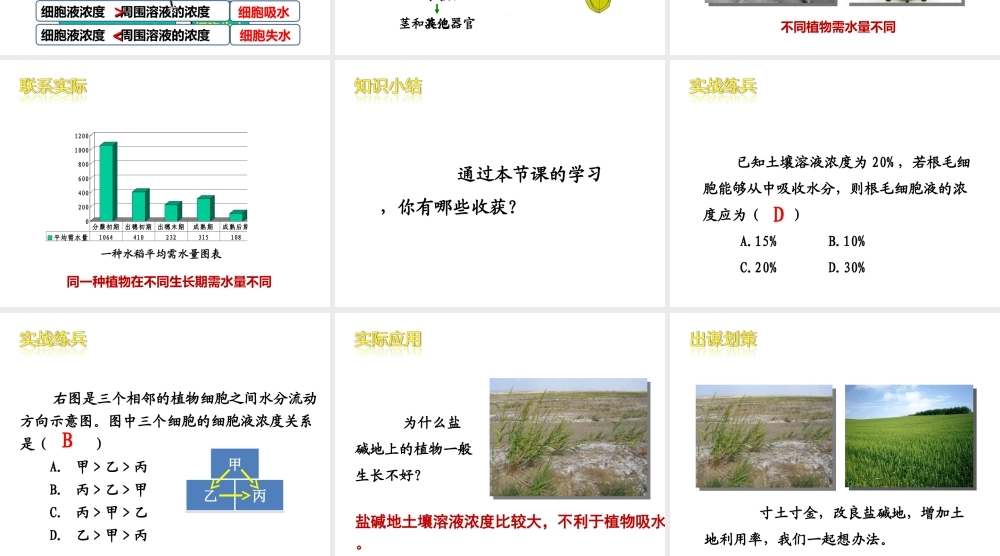 -八年级生物上册 3.2.2 根对水分的吸收课件（2）（新版）冀教版-（新版）冀教级上册生物课件