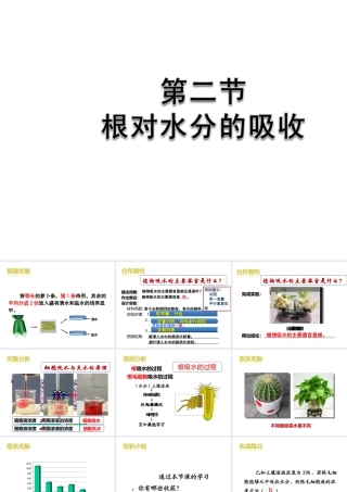 -八年级生物上册 3.2.2 根对水分的吸收课件（2）（新版）冀教版-（新版）冀教级上册生物课件