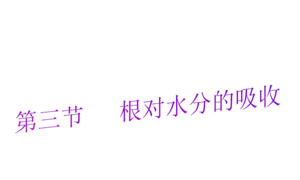 -八年级生物上册 3.2.2 根对水分的吸收课件（3）（新版）冀教版-（新版）冀教版初中八年级上册生物课件
