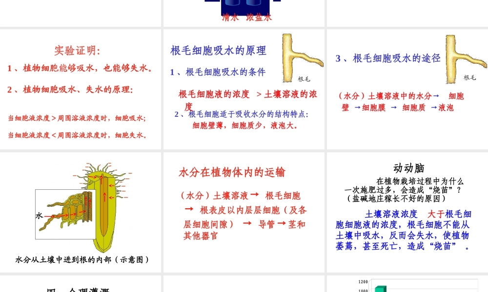 -八年级生物上册 3.2.2 根对水分的吸收课件（3）（新版）冀教版-（新版）冀教版初中八年级上册生物课件