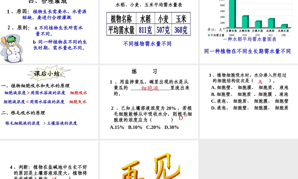 -八年级生物上册 3.2.2 根对水分的吸收课件（3）（新版）冀教版-（新版）冀教版初中八年级上册生物课件