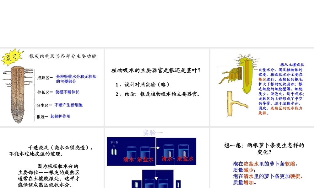 -八年级生物上册 3.2.2 根对水分的吸收课件（3）（新版）冀教版-（新版）冀教级上册生物课件
