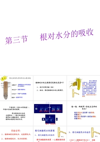 -八年级生物上册 3.2.2 根对水分的吸收课件（3）（新版）冀教版-（新版）冀教级上册生物课件