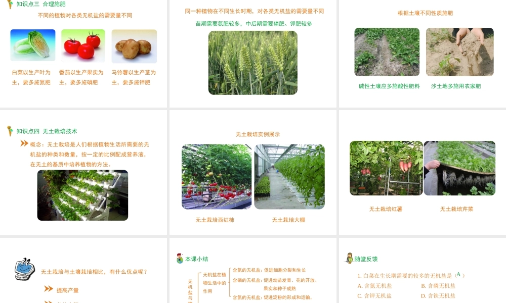 -八年级生物上册 3.2.3 无机盐与植物的生长课件（1）（新版）冀教版-（新版）冀教版初中八年级上册生物课件