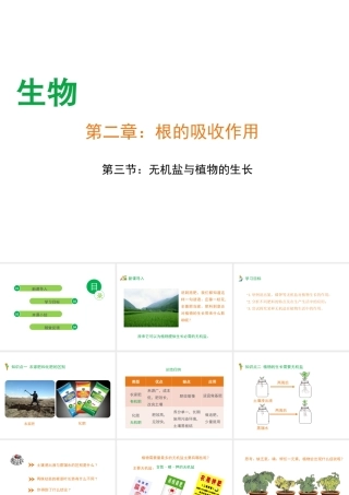 -八年级生物上册 3.2.3 无机盐与植物的生长课件（1）（新版）冀教版-（新版）冀教版初中八年级上册生物课件