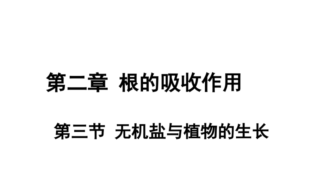 -八年级生物上册 3.2.3 无机盐与植物的生长课件（2）（新版）冀教版-（新版）冀教版初中八年级上册生物课件