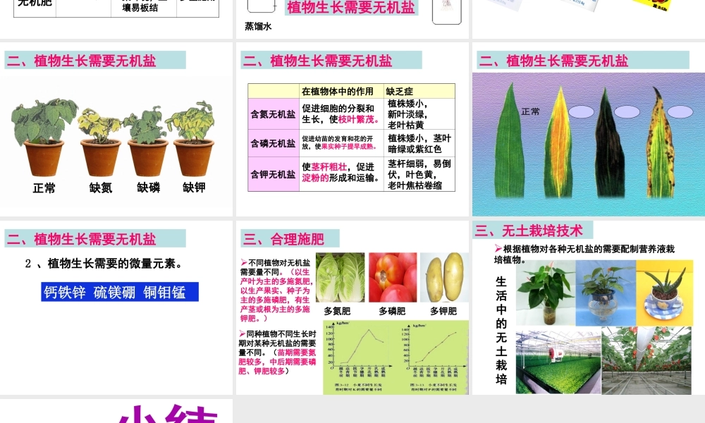 -八年级生物上册 3.2.3 无机盐与植物的生长课件（2）（新版）冀教版-（新版）冀教版初中八年级上册生物课件