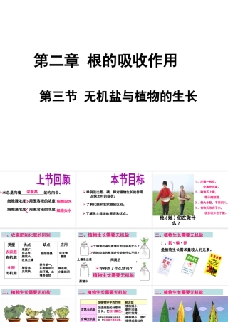 -八年级生物上册 3.2.3 无机盐与植物的生长课件（2）（新版）冀教版-（新版）冀教版初中八年级上册生物课件