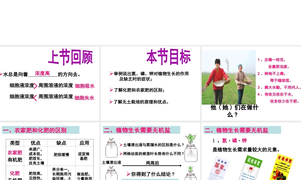 -八年级生物上册 3.2.3 无机盐与植物的生长课件（2）（新版）冀教版-（新版）冀教级上册生物课件